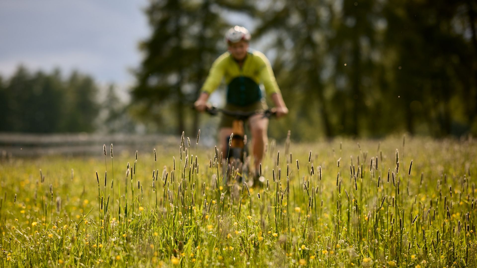 [Translate to englisch:] 